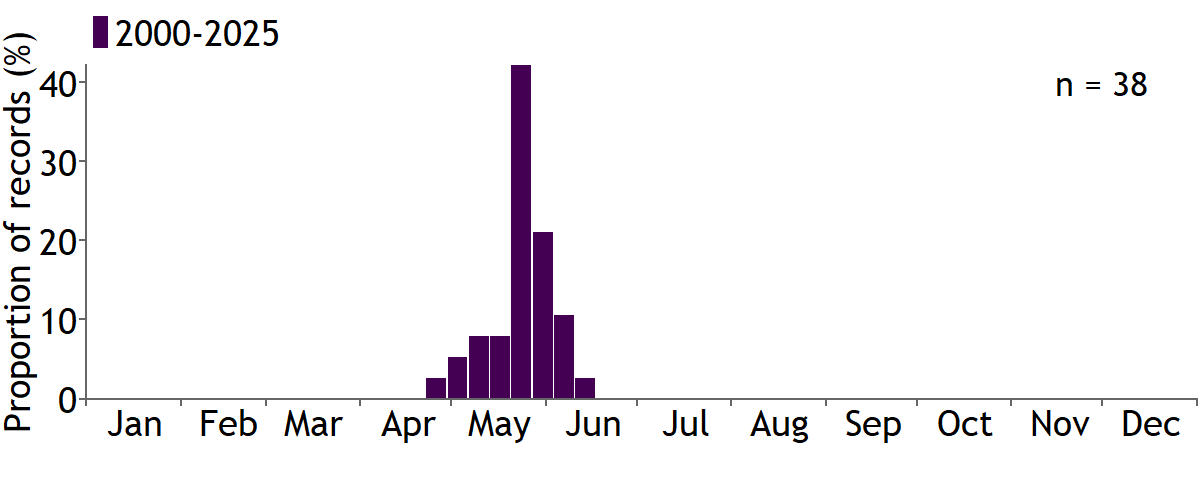 Moths